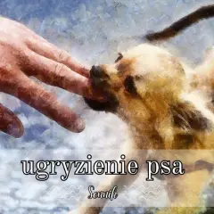 Sennik: Ugryzienie psa w rękę - poznaj ukryte znaczenie ostrzegawczego snu