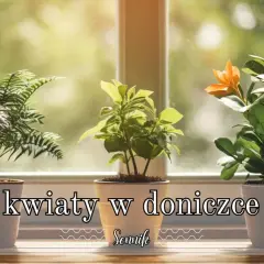 Symbolika zielonego kwiatu w doniczce: co mówi o Twojej przyszłości?