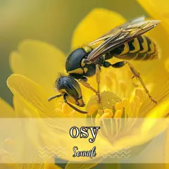 Osa na żółtym kwiecie. Sny o osach mogą symbolizować ostrzeżenie lub nadchodzące zmiany.