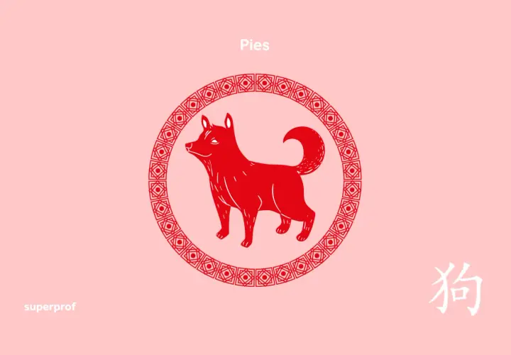 Czerwony pies w okręgu, symbol chińskiego zodiaku. Dowiedz się, jaki mam chiński znak zodiaku!