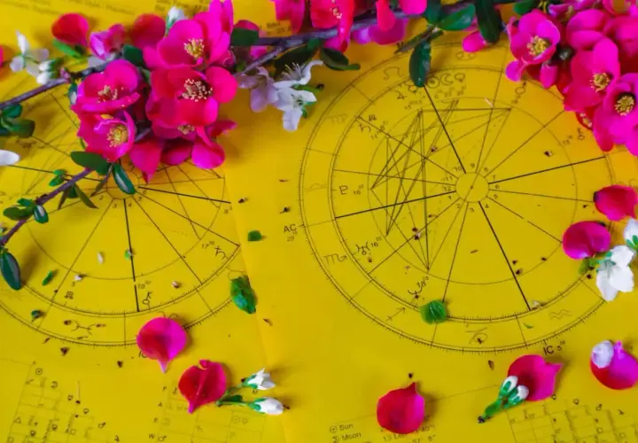 Kwiaty wiśni i płatki zdobią żółte wykresy astrologiczne, sugerując horoskop tygodniowy dla Byka.
