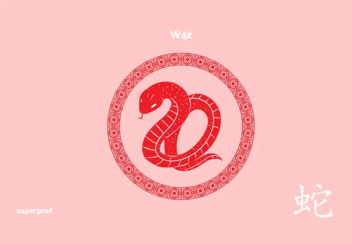 Chiński znak zodiaku Wąż. Dowiedz się, jakie są znaki zodiaku od kiedy do kiedy i kiedy wypada rok Węża.