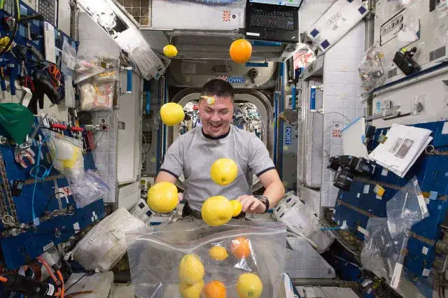 Zdjęcie Fascynujący dzień z życia astronautów: co robią w kosmosie na co dzień
